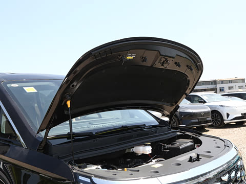 2026�� ����Max