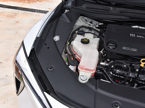 2025�� ������