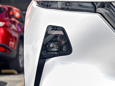 2026�� ����600 Max�˶���