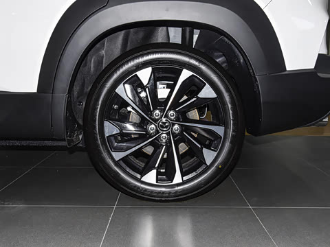 2026�� 2.5L ���а�