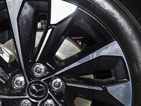 2026�� 2.5L ���а�