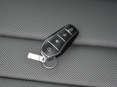 2026�� DM-i 220KM��Խ��