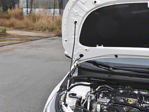 2026�� ����L ���Ͱ� 2.0L ���Ȱ�