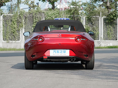 2025�� �ֶ��������� ī�����