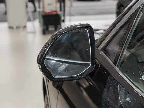 2025�� Pro ������