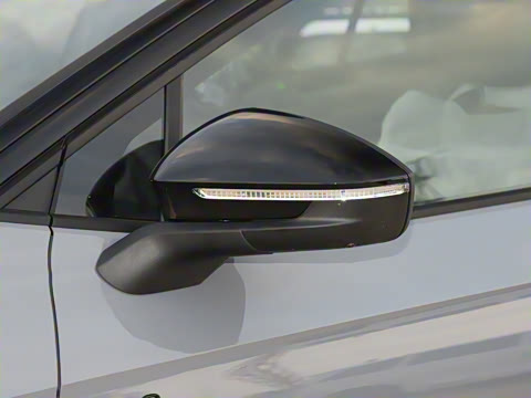 2025�� ������������ʿPRO��