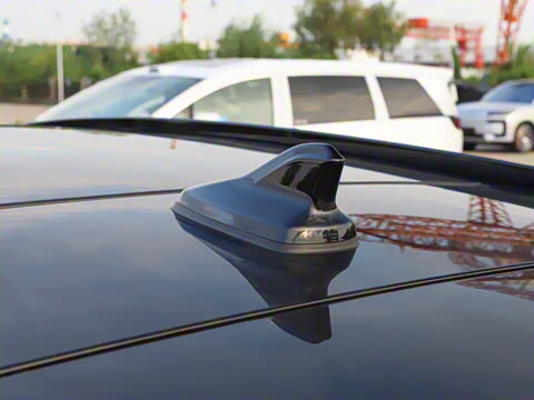 2025�� ������������ʿPRO��