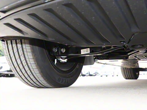 2026�� ������PURE