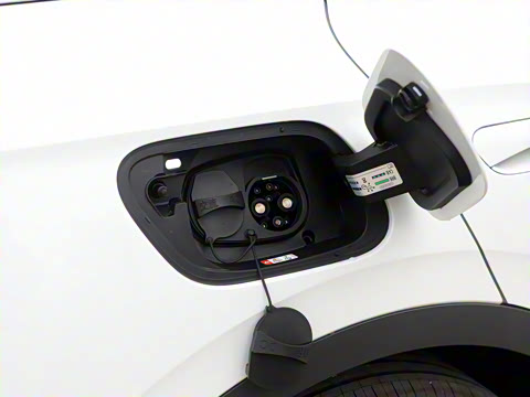 2026�� ������PURE