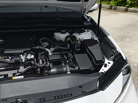 2026�� ˫�� 2.0HS �˶���