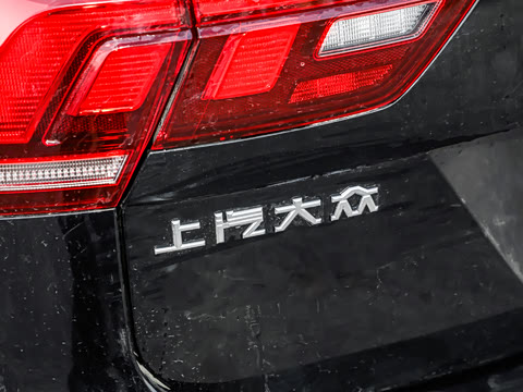 2026�� ���ڿ� 330TSI �Զ�����R-Line��ҫ��