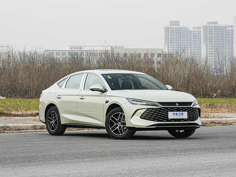 2026�� DM-i 210KM��Խ��