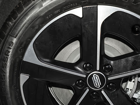 2025�� ���� Max