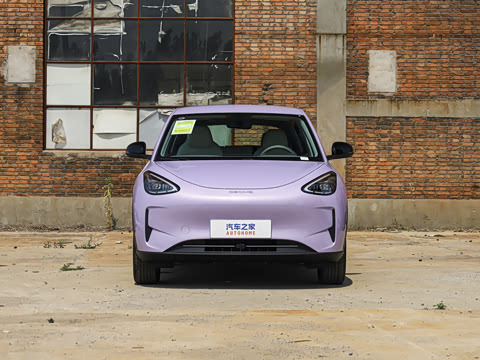 2026�� 310km ������