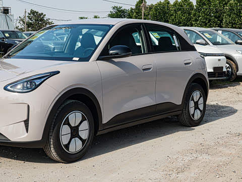 2026�� 310km ������