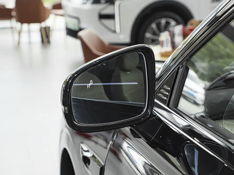 2025�� ���� 265 Max��������������ʻ