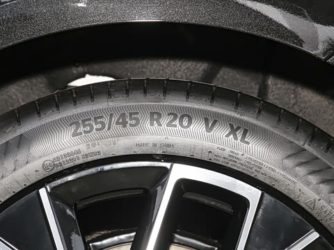 2025�� Elite�����