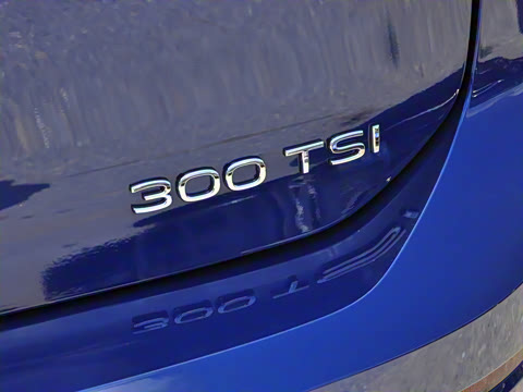 2025�� �Ŀ�� 300TSI R-Line