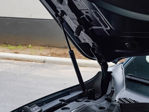 2025�� 260��������������