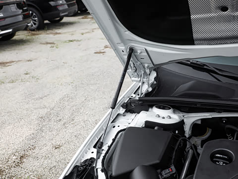 2025�� 25T ������