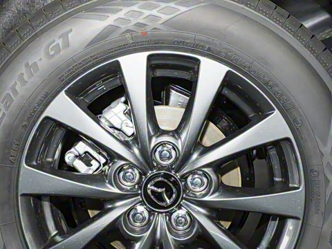 2025�� 2.0L �ֶ�������