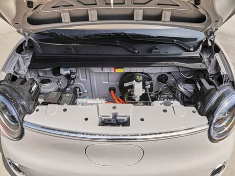 2026�� ����� 301km ���׿�