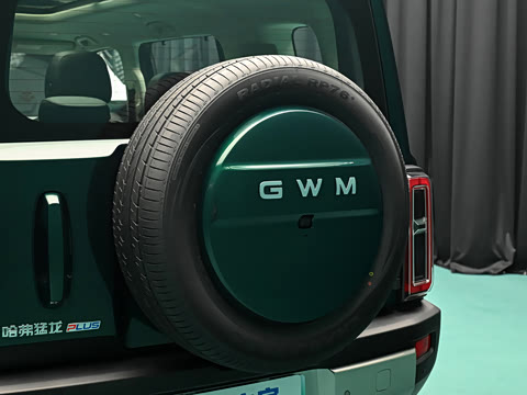 2026�� 255km ������