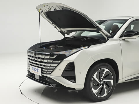 2026�� �ǻ������� 130km ս����