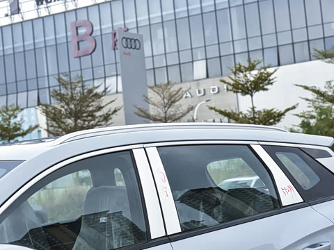 2026�� DM-i 220KM��Խ��