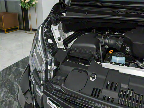 2025�� С�߶� ������