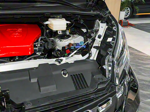 2025�� С�߶� ������