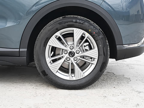 2025�� 565km ������