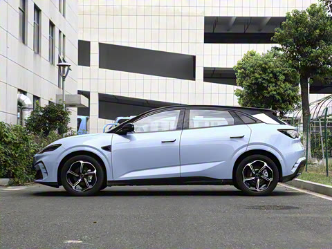 2025�� �Ǽݰ� 505���˰�