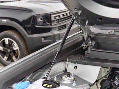 2026�� 212km ��Խ