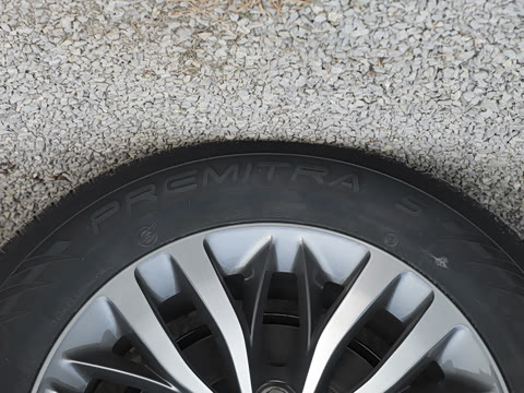 2025�� ½�Ϲ���� ����DG��