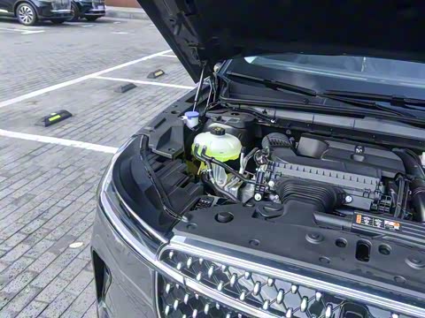 2025�� �Ŀ� 2.0T ����������