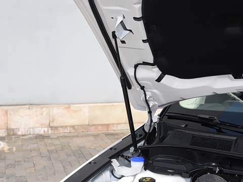 2025�� 2.0T ����������