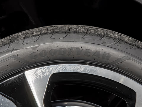 2025�� SE ������