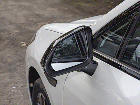 2026�� 520�Ǻ���