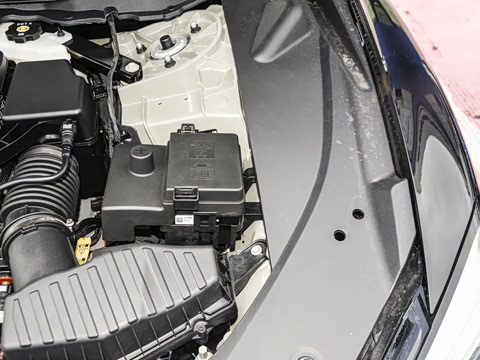 2025�� ��ά��