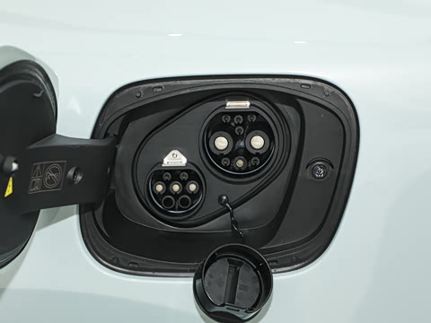 2025�� ���� Max