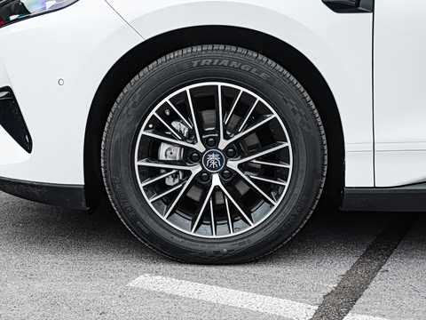 2026�� DM-i 320KM��Խ��