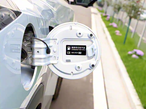 2026�� Ӱ�� 270T ������