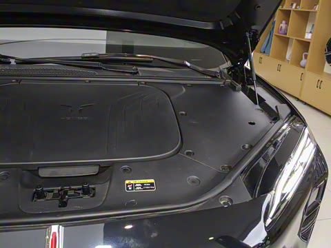 2025�� 520 Max������