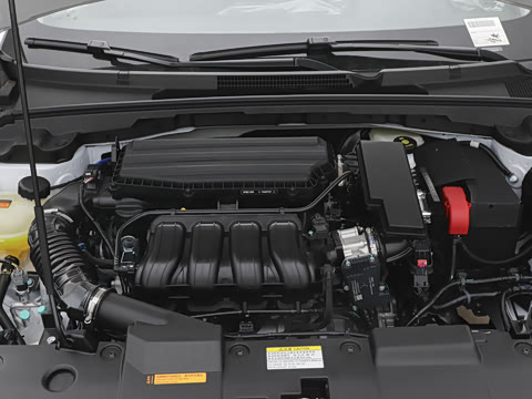 2026�� ����� 1.5L �Զ�������