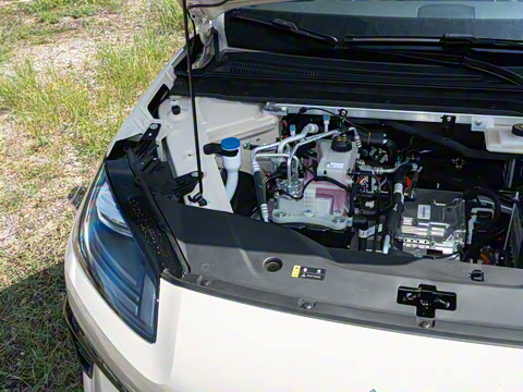 2026�� 520�Ǻ���