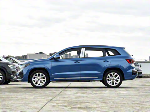 2026�� 280TSI �Զ��ȷ��