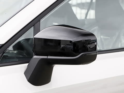 2026�� 2.0L ���ܵ��˫�� PRO