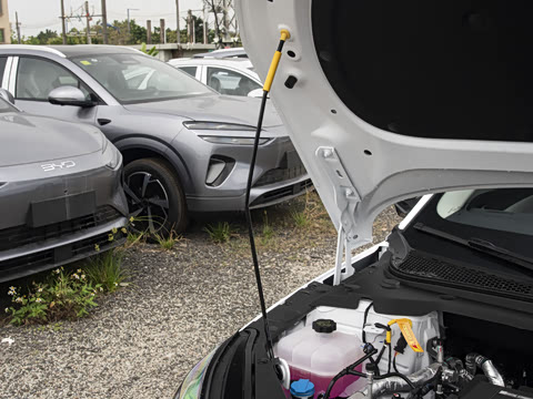 2026�� DM-i 210KM������