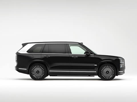 2025�� Max�� 55kWh